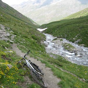 IMG_5025.jpg