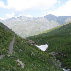 IMG_5027.jpg