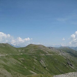 IMG_5046.jpg