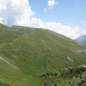 IMG_5055.jpg