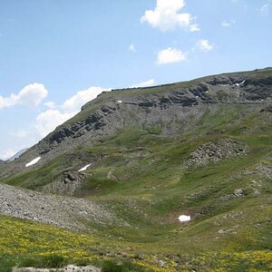 IMG_5059.jpg