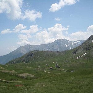 IMG_5061.jpg