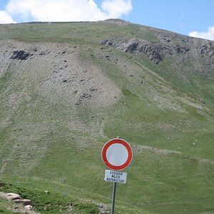 IMG_5067.jpg