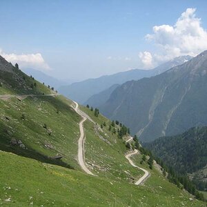 IMG_5070.jpg