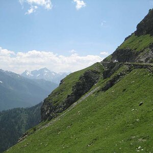 IMG_5071.jpg