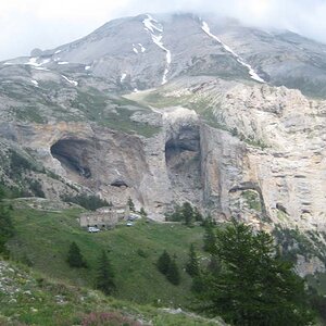 IMG_5130.jpg
