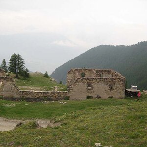 IMG_5137.jpg
