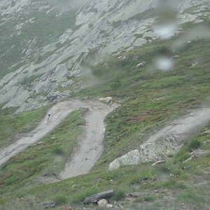 IMG_5181.jpg