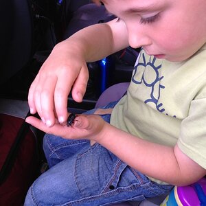IMG_5961_zps0aeac60b.jpg