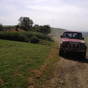 IMG_5977_zps6563a858.jpg
