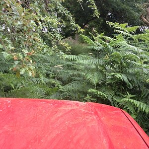 IMG_6042_zps66df2e9e.jpg