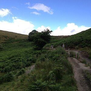 IMG_6122_zps69cd2be0.jpg
