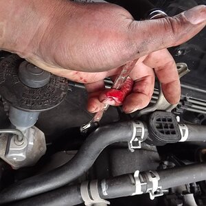 egr001_zpsa099d809.jpg