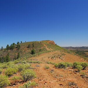 photo17-Nearly to the top of mt Gill.JPG