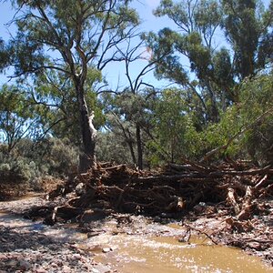 photo19-Natures flood barrier.JPG