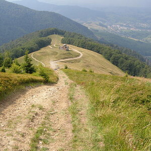 15769757ne.jpg