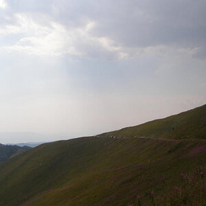 15769944ab.jpg