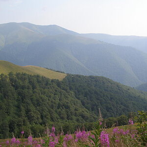 15769945wm.jpg