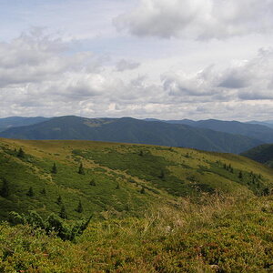 15805685pq.jpg