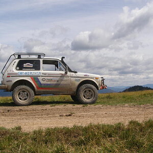 15805687yz.jpg