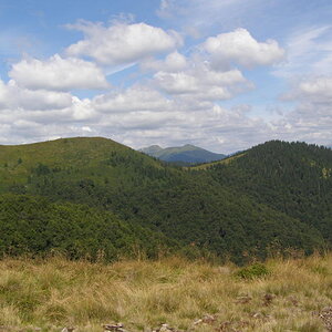 15805738oe.jpg