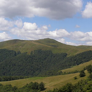 15805744wt.jpg