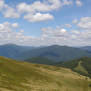 15806085ue.jpg