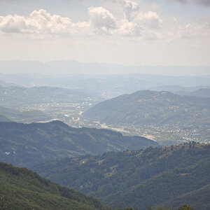 15836843nw.jpg