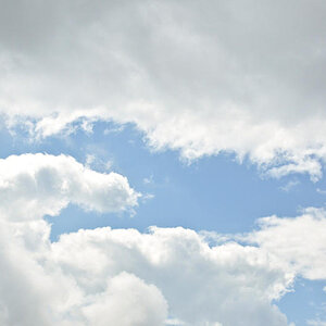 15852326qf.jpg