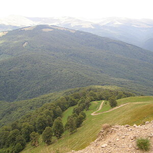 15853629av.jpg