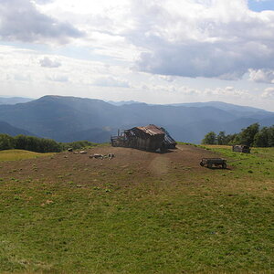 16158393tk.jpg
