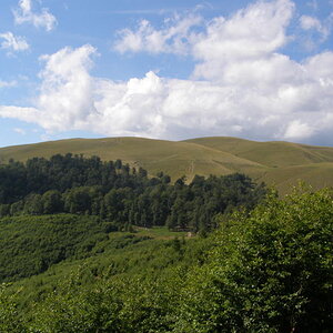16158773ih.jpg