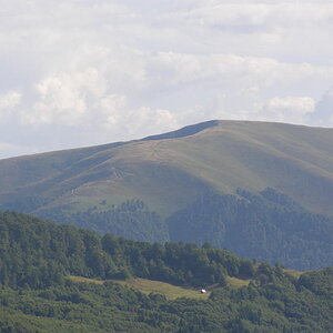 16158776sm.jpg