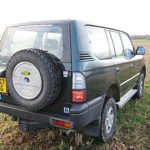 IMG_5817%20(Medium).JPG