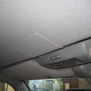 IMG_5804%20(Medium).JPG