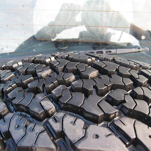 IMG_5799%20(Medium).JPG