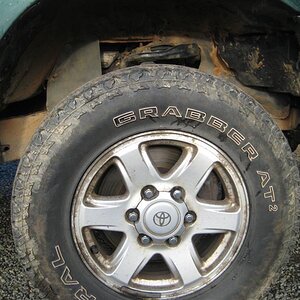 IMG_5793%20(Medium).JPG