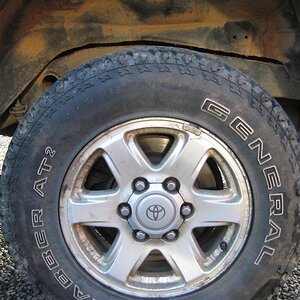IMG_5790%20(Medium).JPG