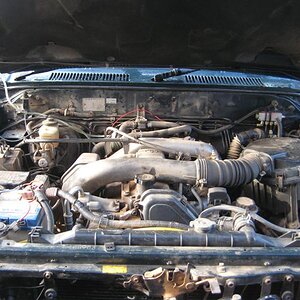 IMG_5783%20(Medium).JPG