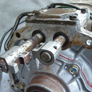 DSCN7440.jpg