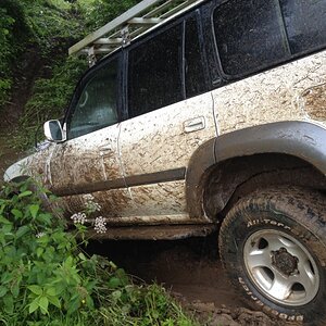 IMG_0668_zpsfc5217b8.jpg
