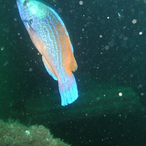 109_zpsbccf4489.jpg