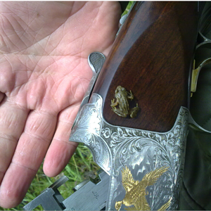 froggun_zps302298b8.png
