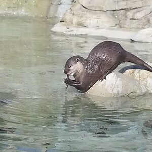 20140309_130605.jpg