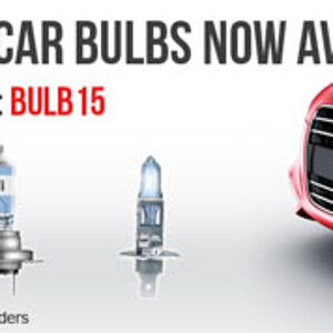 bulbs.jpg