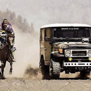 40withhorse_zps42bec0ae.jpg