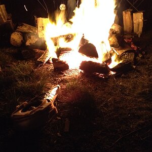 IMG_9748_zps398b923d.jpg