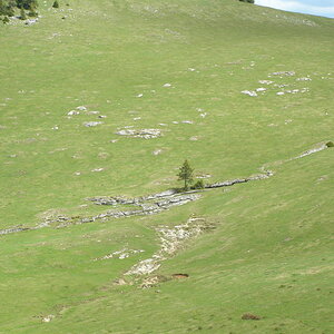 18357061nv.jpg