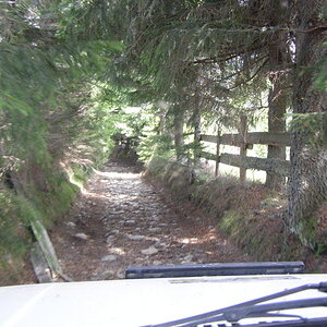 18357786xc.jpg