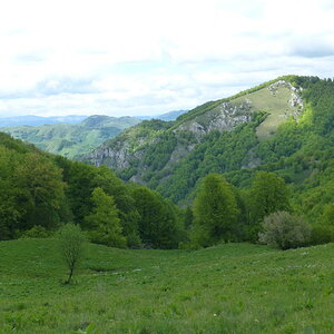 18516979ze.jpg